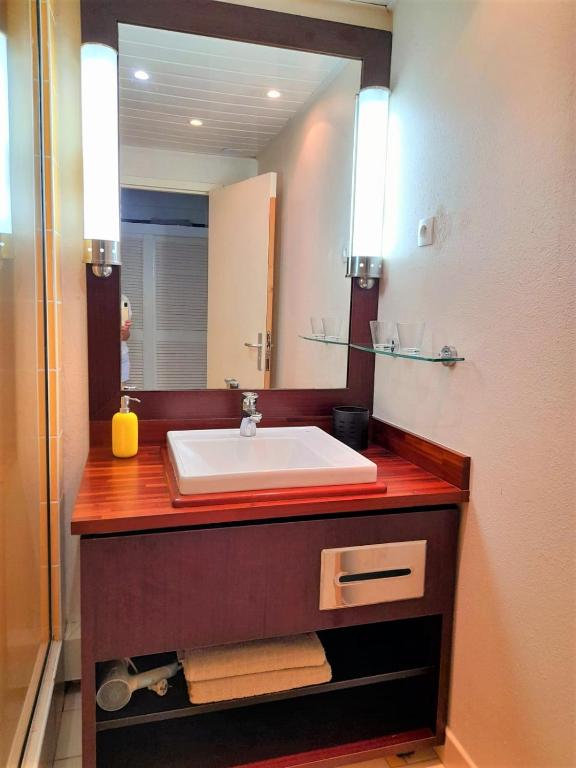 a bathroom with a sink and a mirror at ILET BLEU studio cosy RDC vue mer et jardin - Accès direct plage in Le Gosier