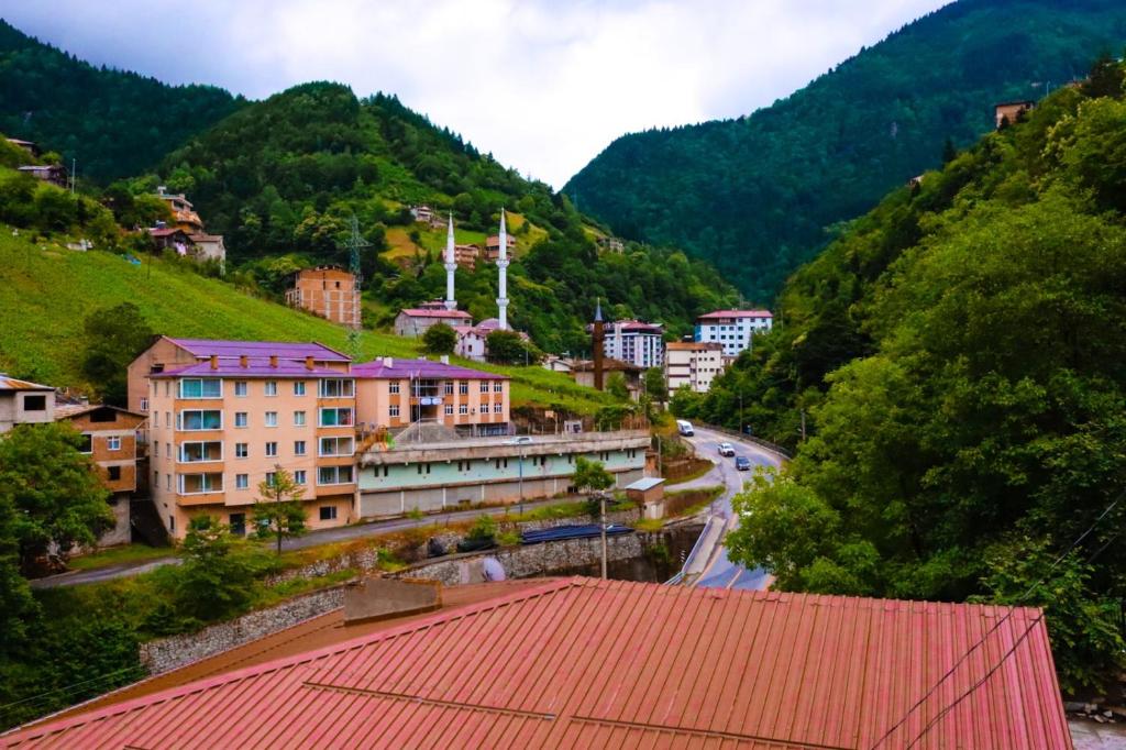 a view of a town in the mountains at شقة أوزنجول 3 in Çaykara