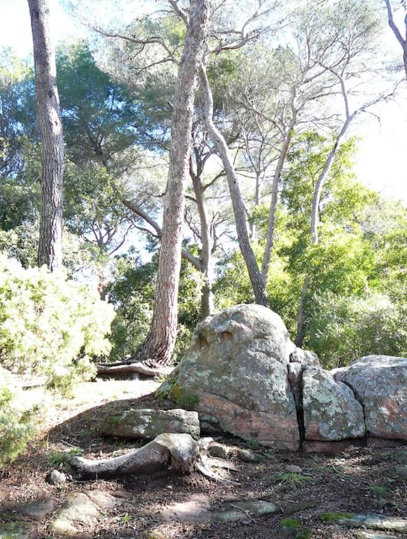 a rock on a trail in a forest with trees at Nice 35m At 450m From The Beach in Saint-Raphaël