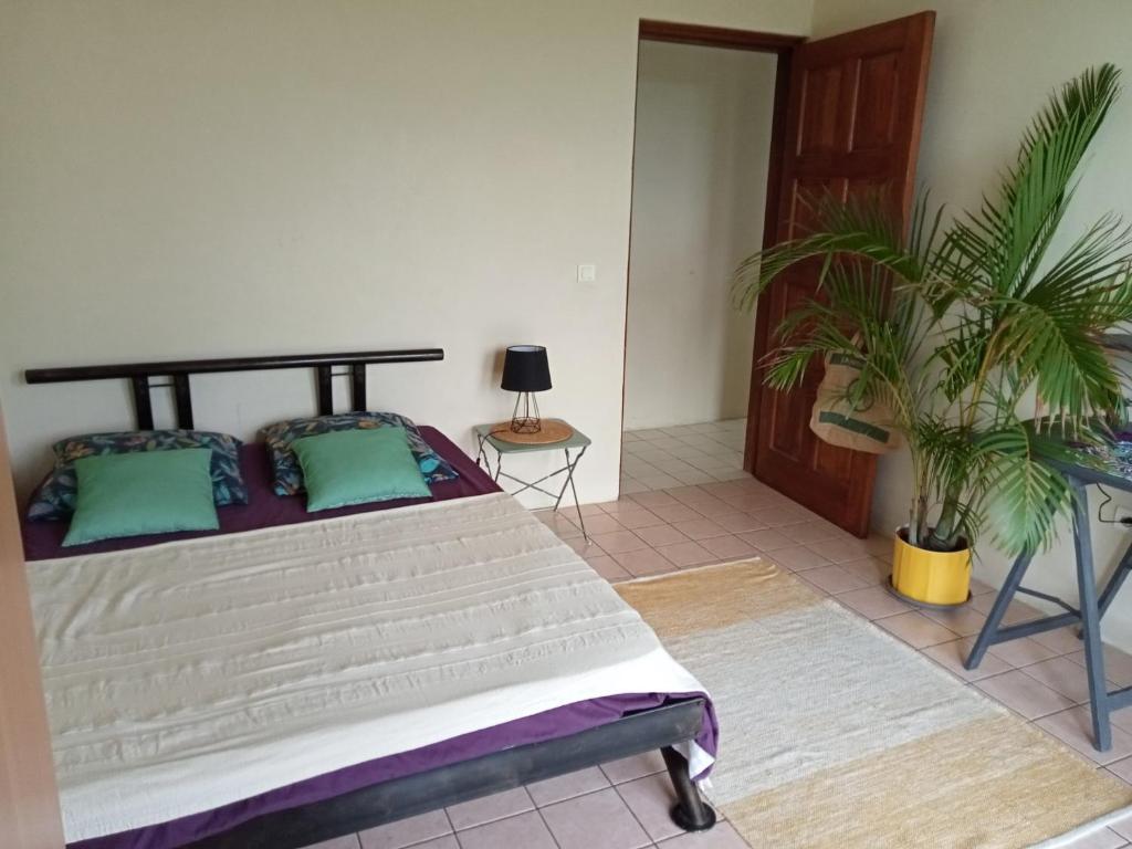 Chambre d'hôtes Paradise