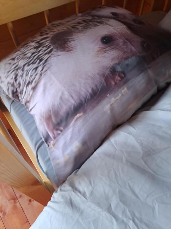 Postel nebo postele na pokoji v ubytování Kilplaste küla kämpingud