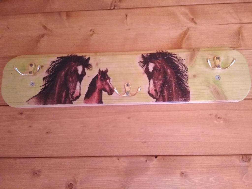 Zvířata v kempu nebo okolí