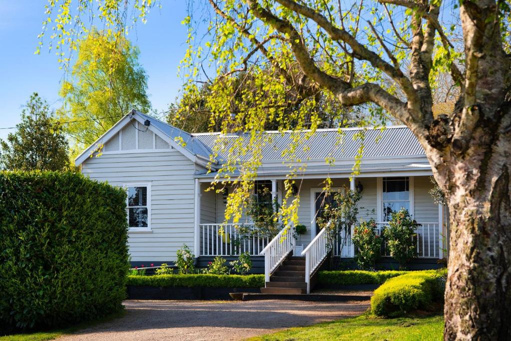 a white house with a tree in front of it at Little Wombat Daylesford in Daylesford