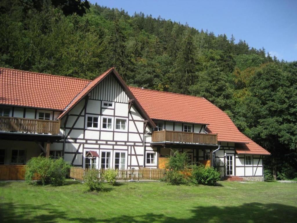 une grande maison avec des toits rouges dans un champ dans l'établissement Ferienwohnung Nexö, 85 qm, 3 Schlafzimmer N2, à Ilsenburg