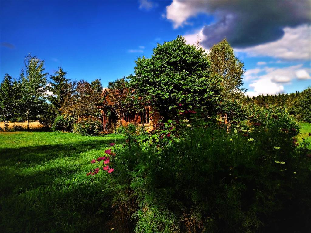 a green field with flowers in front of a house at Butterfly Factory in Jonkowo