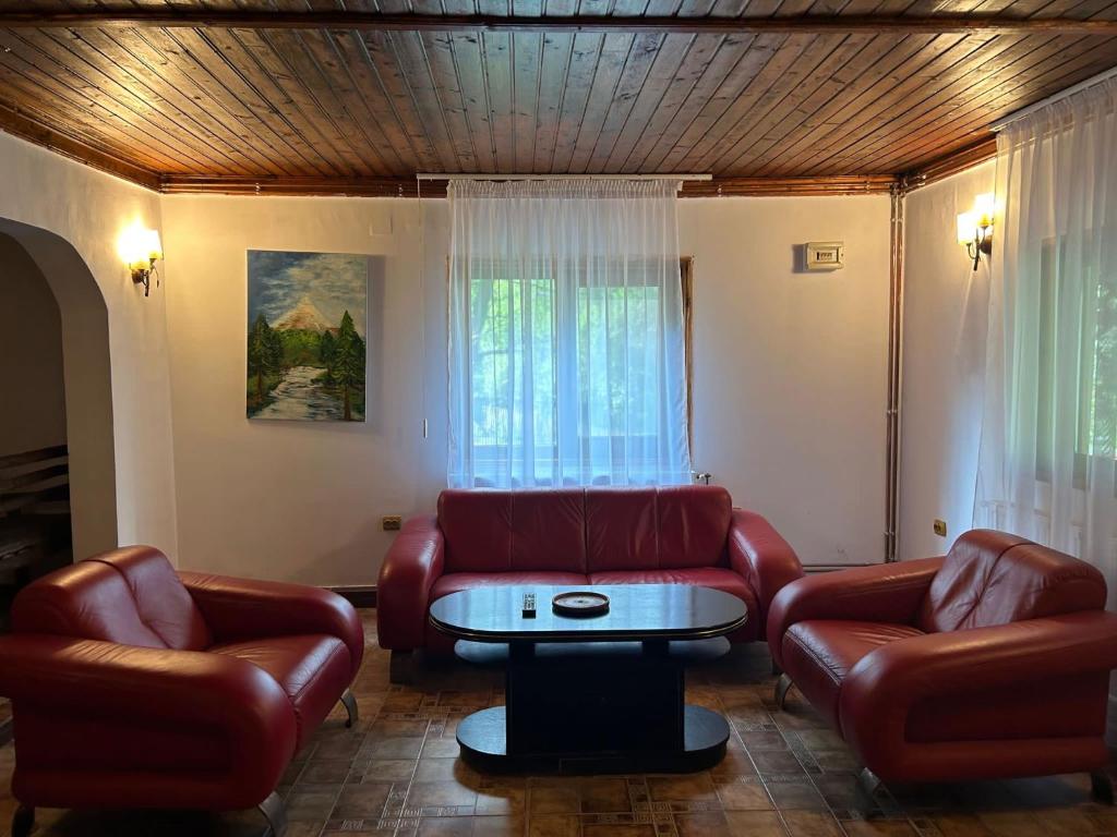uma sala de estar com mobiliário de couro e uma mesa em Casa Cesy em Teşila