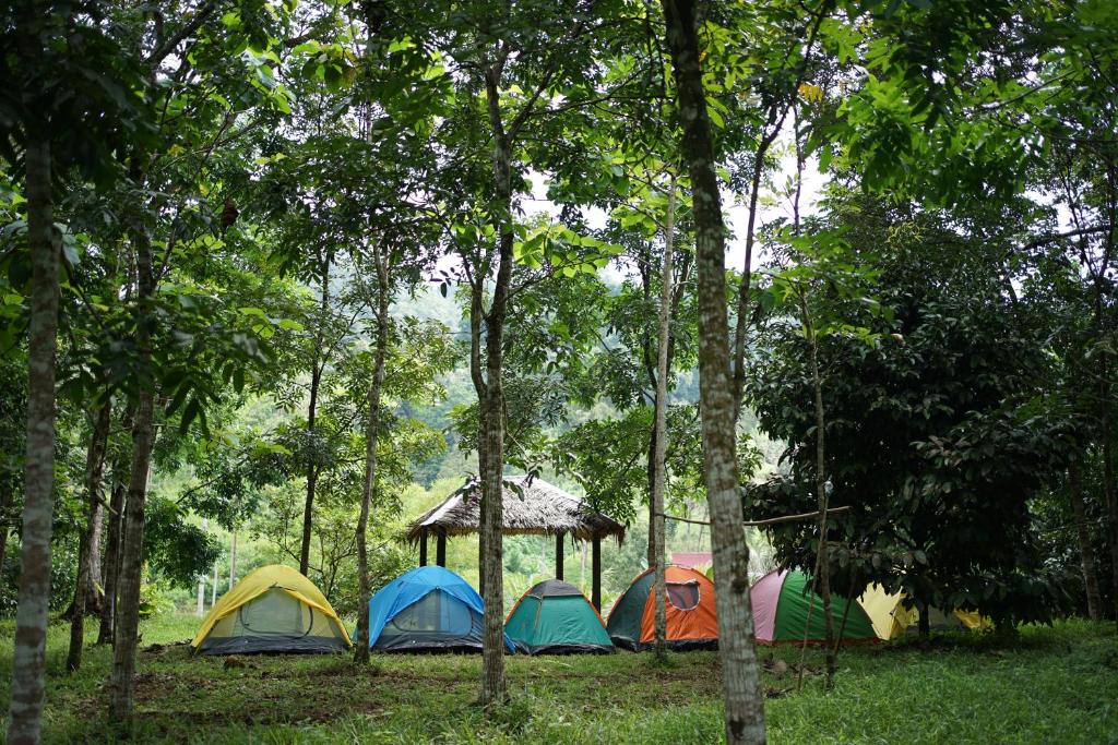 a group of tents in the middle of trees at Batu Kapal Lodge in Bukit Lawang