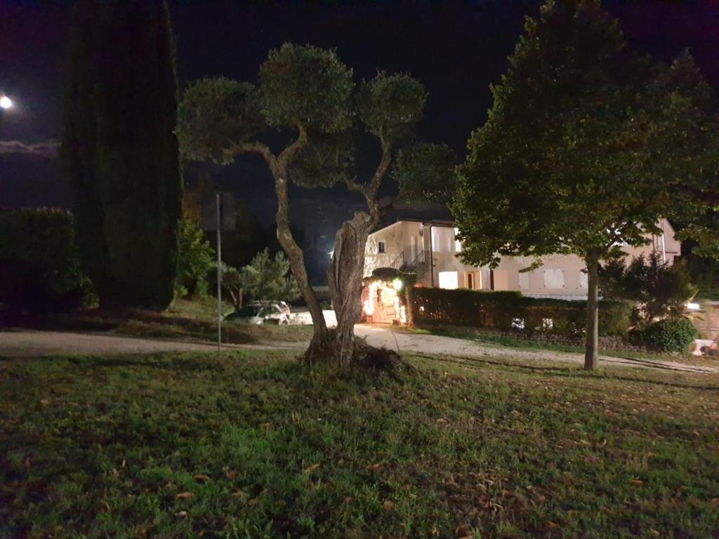 Zahrada ubytování Agriturismo Le Querce