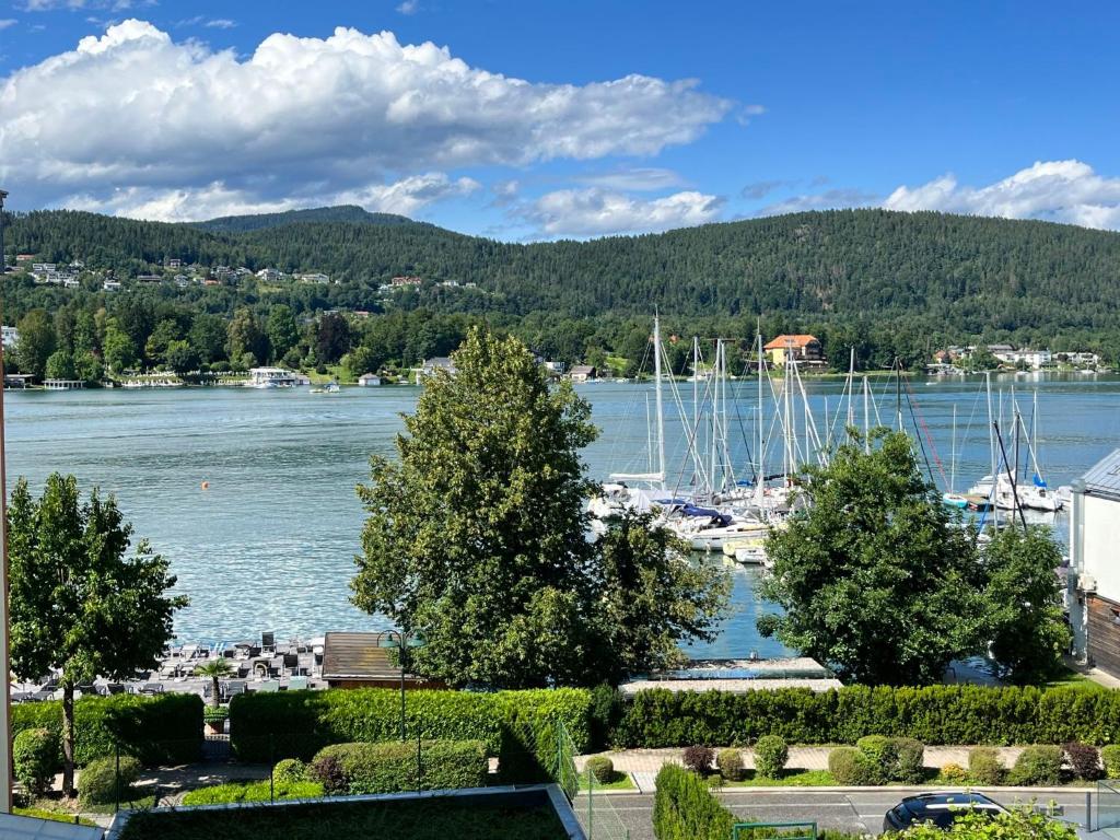 Príroda v okolí apartmánu