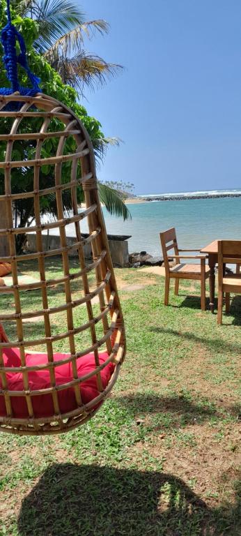 a hammock sitting on the grass next to the beach at Tiki Bay Mirissa in Mirissa
