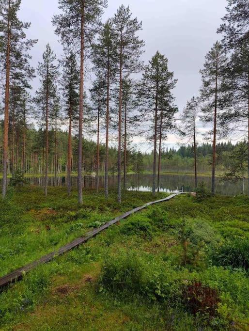 a dirt road in the middle of a forest with trees at Mökki Mannervaarassa, Joensuussa in Mannervaara
