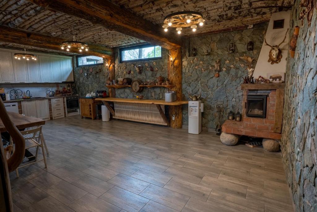 Kuchyň nebo kuchyňský kout v ubytování Bârlogul Vikingilor