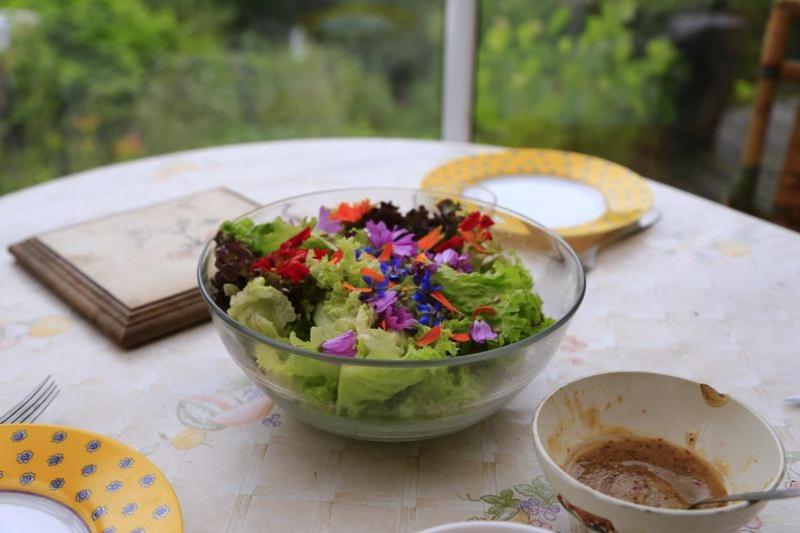 a salad in a glass bowl on a table at ecogite Estien in Boussenac