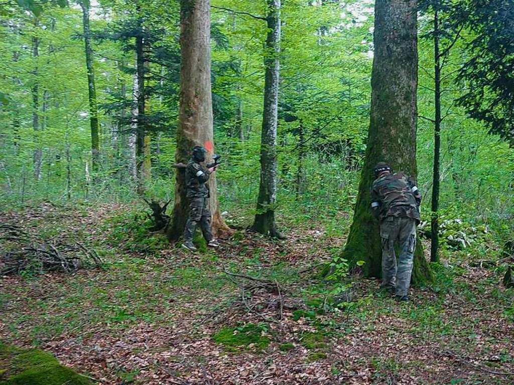 Príroda v okolí dovolenkového domu