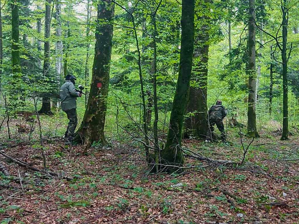Zvieratá v dovolenkovom dome alebo blízkom okolí