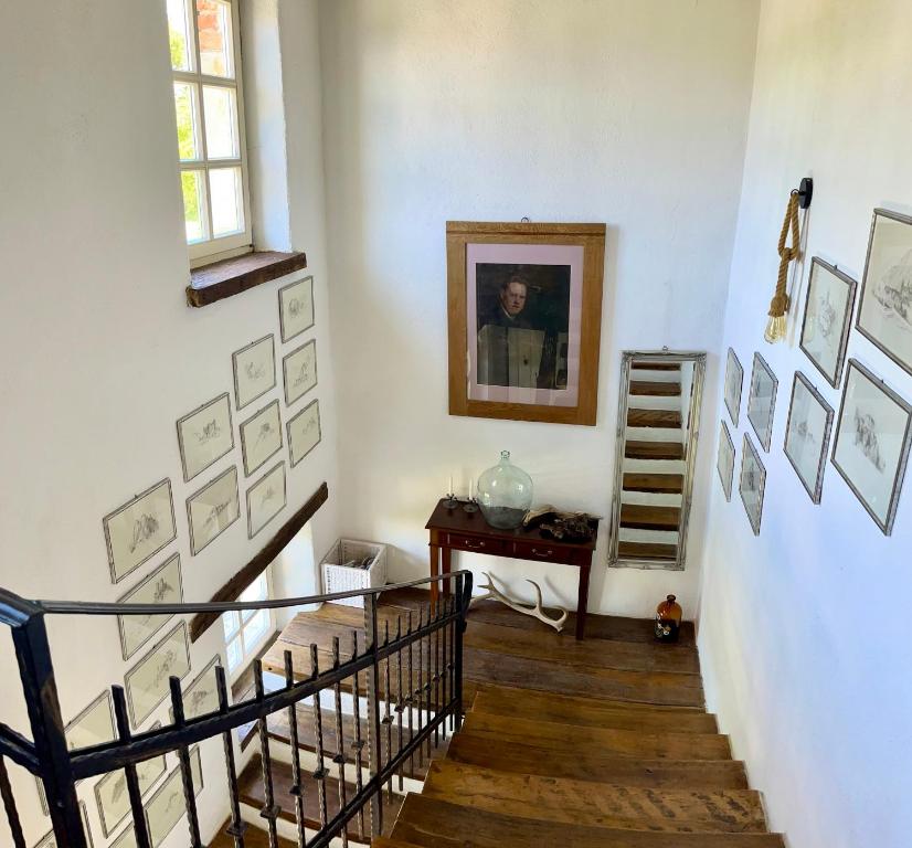 Fotografia z galérie ubytovania Villa Filoreto v destinácii Vižinada