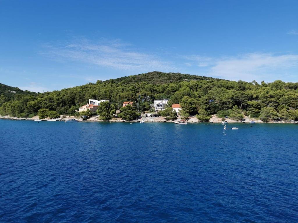 Příroda nedaleko apartmánu