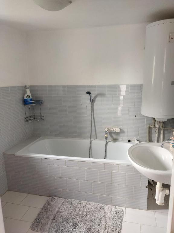 Koupelna v ubytování Apartmán se zahradou