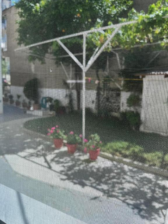 Fotografie z fotogalerie ubytování Angel home v destinaci Ioannina