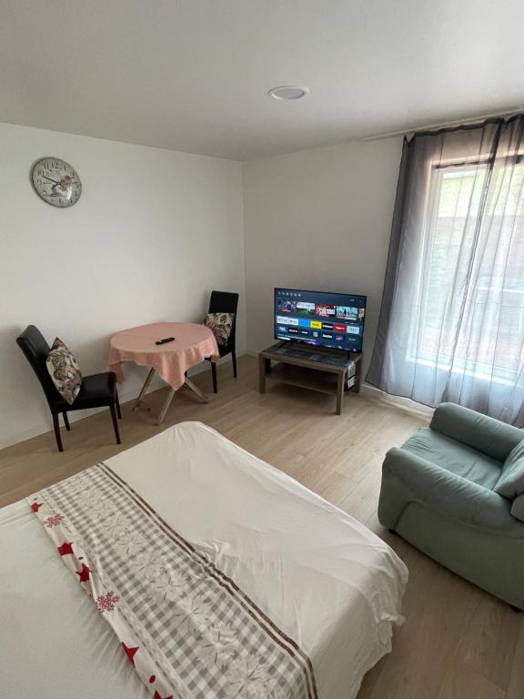 ein Wohnzimmer mit einem Bett und einem TV in der Unterkunft Grand studio pour 1 ou 2 personnes in Schiltigheim