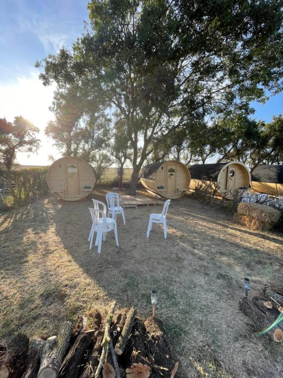 CAMPING ANIMAL KING - 家庭平房
