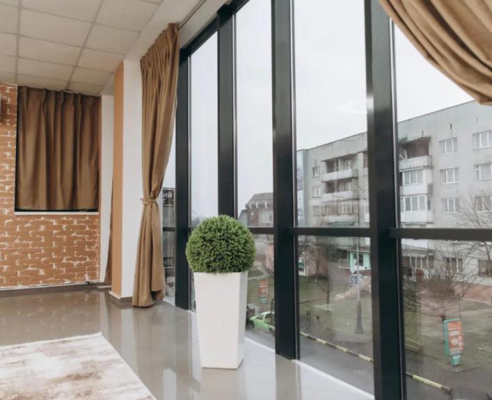 een kamer met een groot raam met een potplant bij PANORAMA HOTEL in Tyachiv