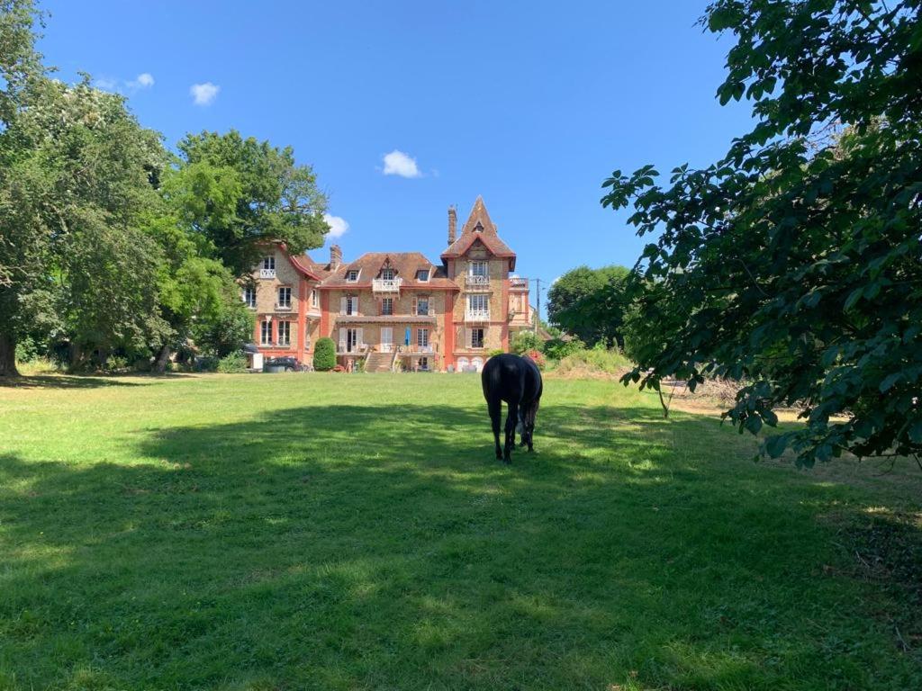 une vache noire debout dans un champ devant une maison dans l'établissement Manoir remarquable avec son parc, à Chaumes-en-Brie