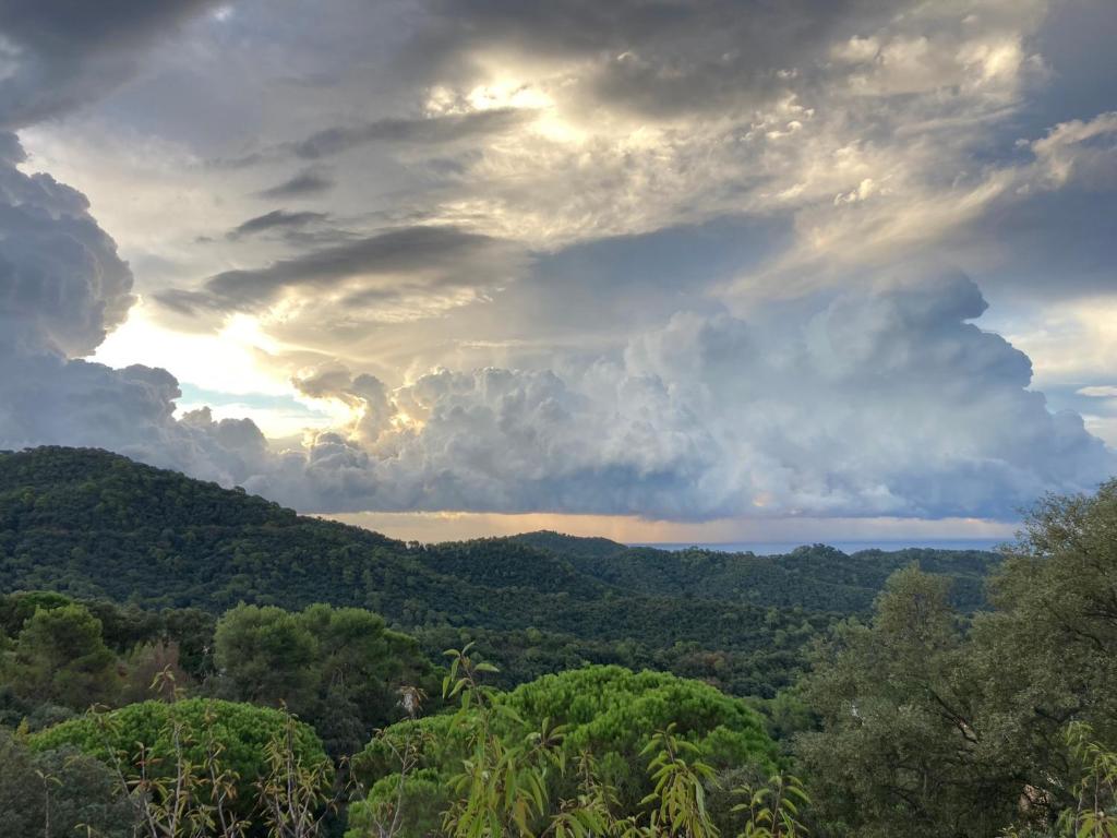 um céu nublado com vista para uma floresta em Casa con vista y jardín, a 20' de la playa em Sant Cebrià de Vallalta