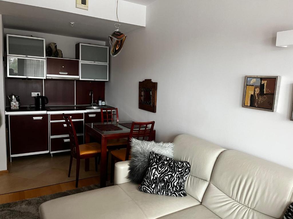 Kuchyňa alebo kuchynka v ubytovaní APARTAMENT 345 w Domu Zdrojowym - Jastarnia