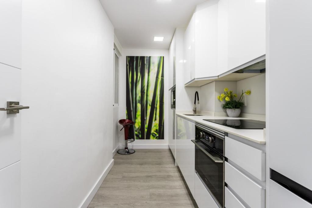 Kuchyňa alebo kuchynka v ubytovaní Sur Suites Principe