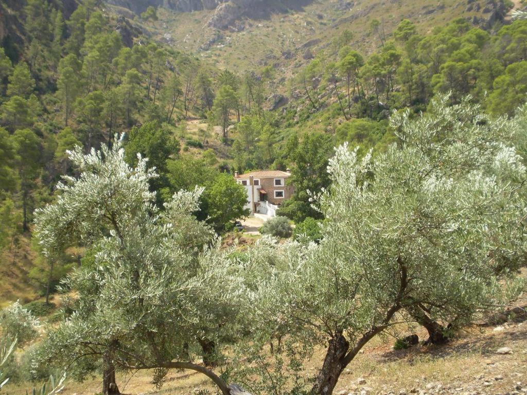 Zdjęcie z galerii obiektu Hotel Rural "Hospederia Las Cañadillas" w mieście El Tranco