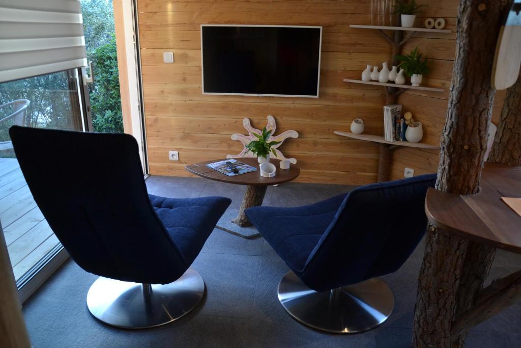 TV a/nebo společenská místnost v ubytování Le gîte du petit branché