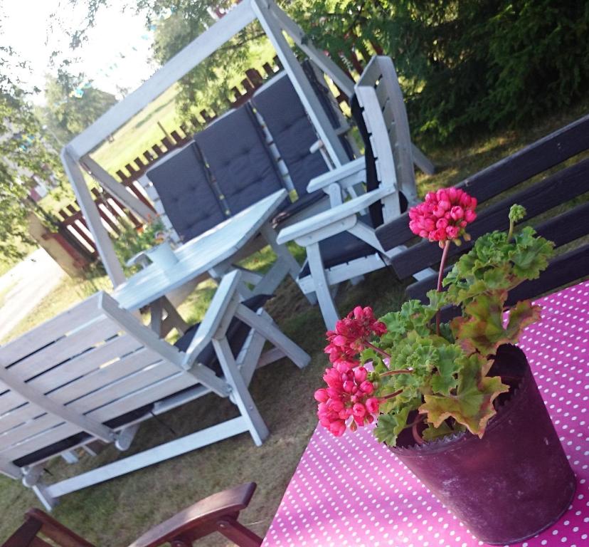 Zahrada ubytování Kallaxgårdshotel/apartment, Luleå