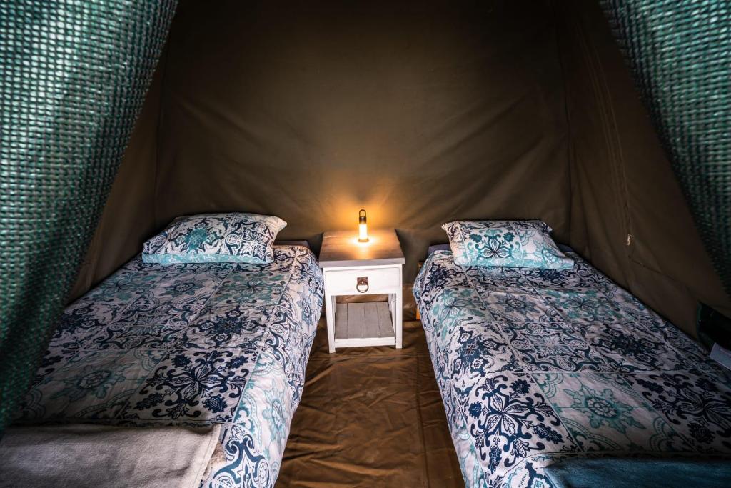 a couple of beds in a tent with a night stand at Cadeau Hiking and Accommodation in Witelsbos