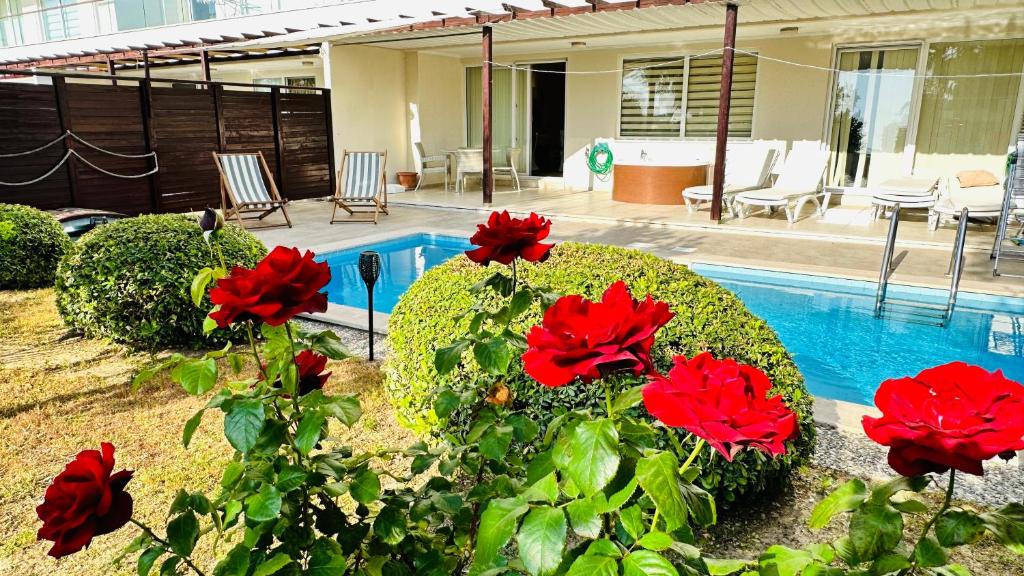 a garden with red flowers and a swimming pool at Babylon Luxury Villa with Private Pool and indoor Heated Pool in Side