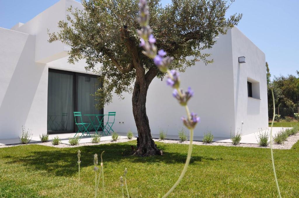 uma casa branca com uma árvore no quintal em Casa Solà em Menfi