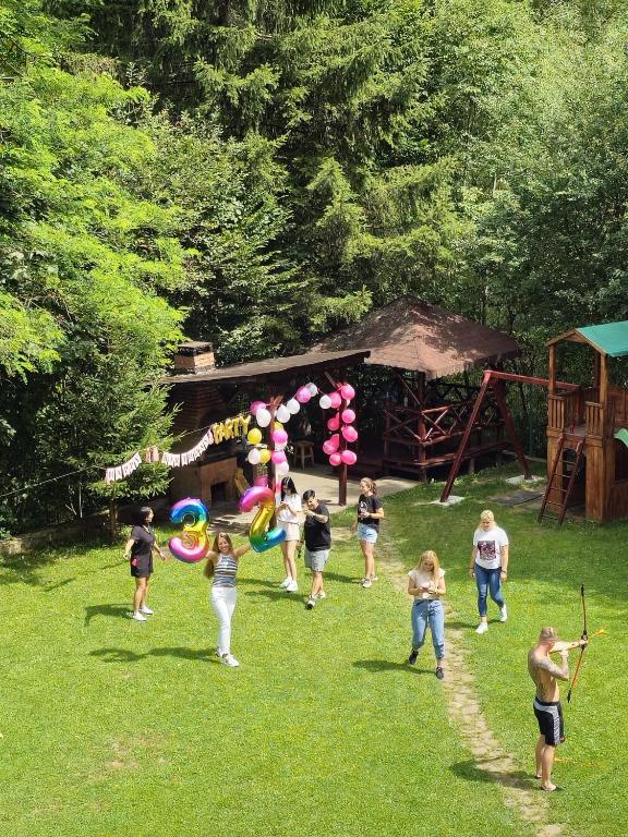 a group of people walking in a field with balloons at Pensiunea Zece Brazi Cheia in Măneciu