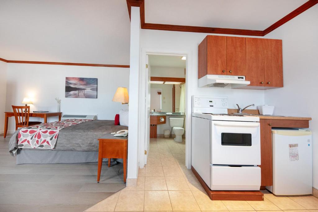 Kuchyň nebo kuchyňský kout v ubytování Hotel Plante