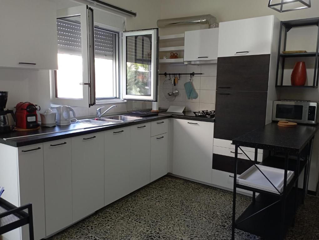 Kuchyň nebo kuchyňský kout v ubytování ΤΟ ΔΙΑΜΕΡΙΣΜΑ ΤΗΣ ΜΑΙΡΗΣ or MARY'S APARTMENT