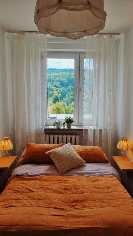 a bedroom with a large bed with a large window at Penthouse Mały Belweder in Ustrzyki Dolne