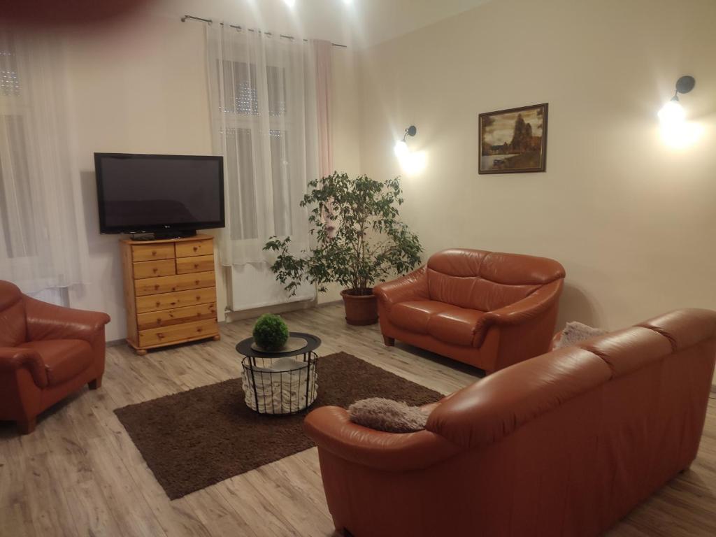 マコーにあるSzent János Apartmanのリビングルーム(革製家具、薄型テレビ付)