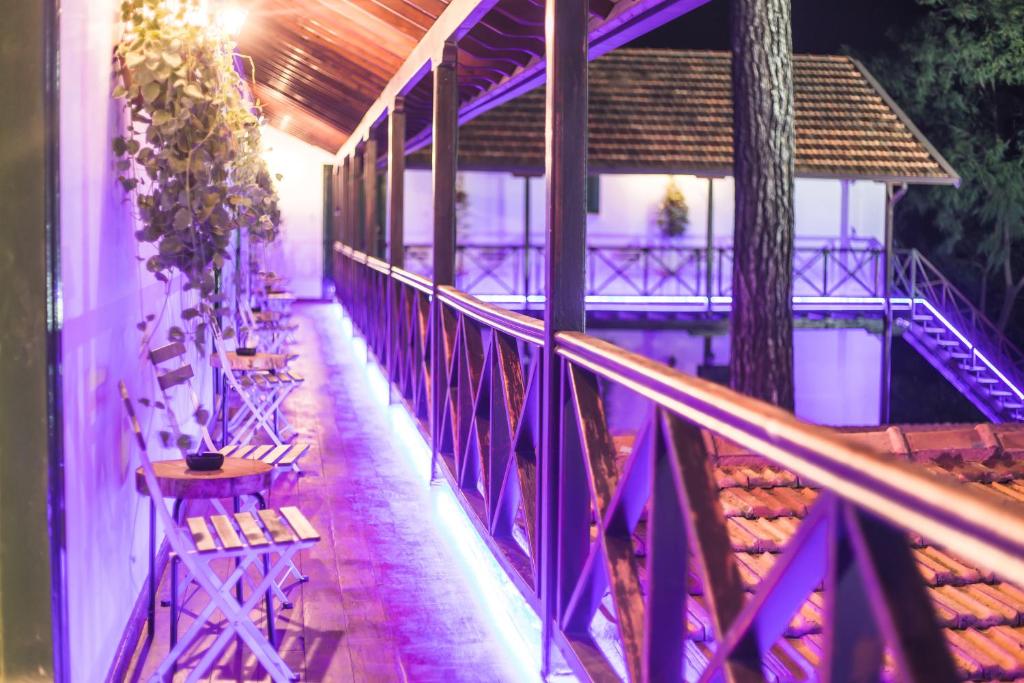 Balkón nebo terasa v ubytování Pine View Boutique Hotel Adults Only