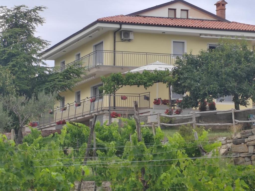 a house with a garden in front of it at apartma Belveder in Izola