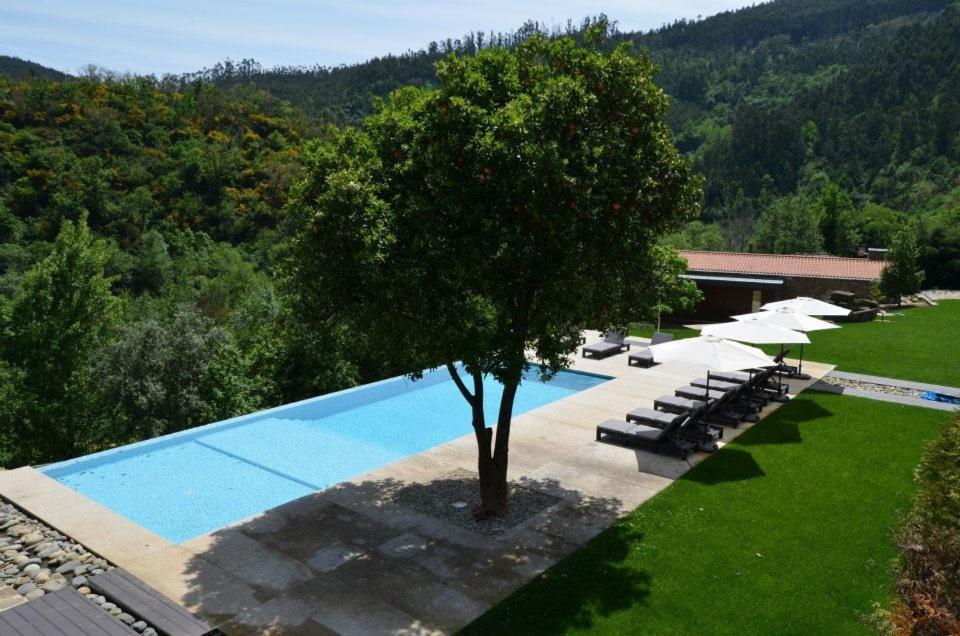 una vista aérea de una piscina con un árbol en Rio Moment's en Castelo de Paiva