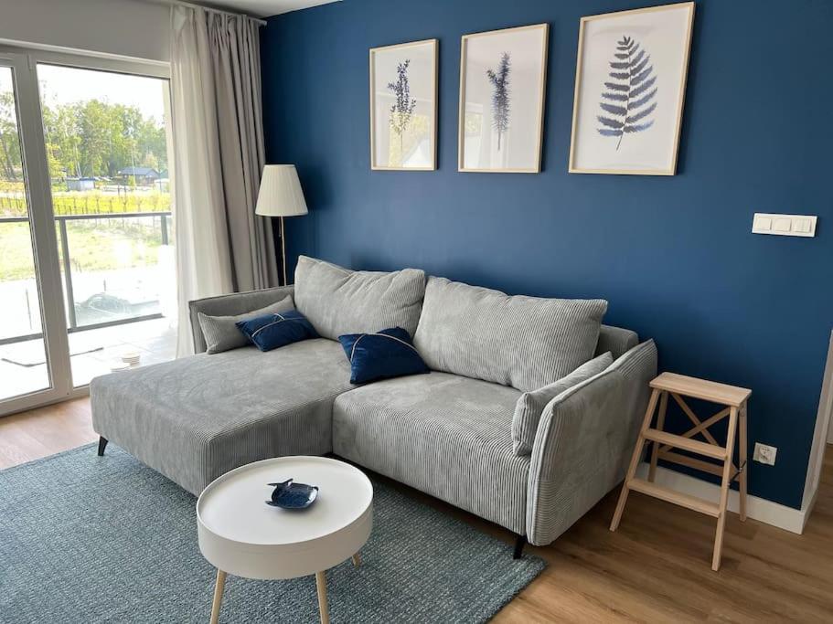 a living room with a gray couch and a blue wall at Baltic Nest - Dziwnów in Dziwnów