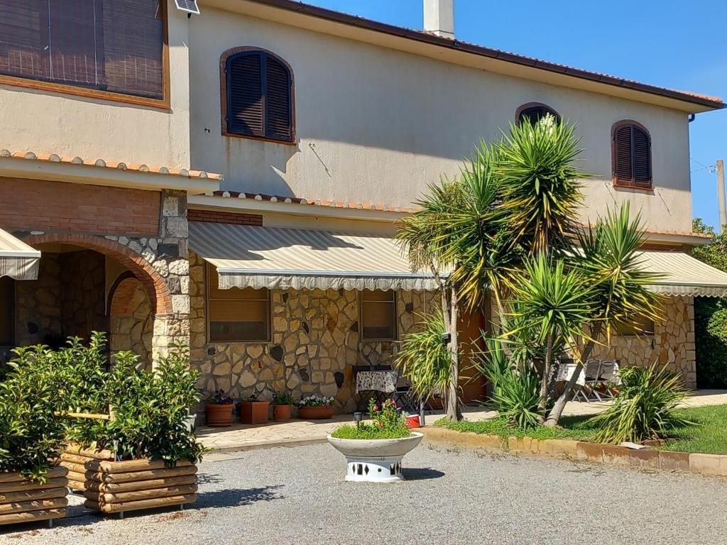 a building with a palm tree in front of it at Nato Contadino in Capalbio