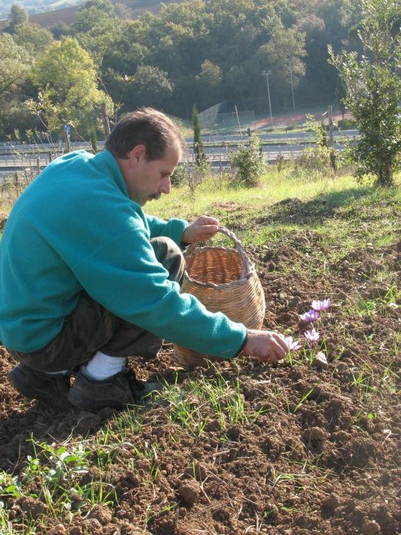 Hostia v ubytovaní Agriturismo La Steccaia Alta