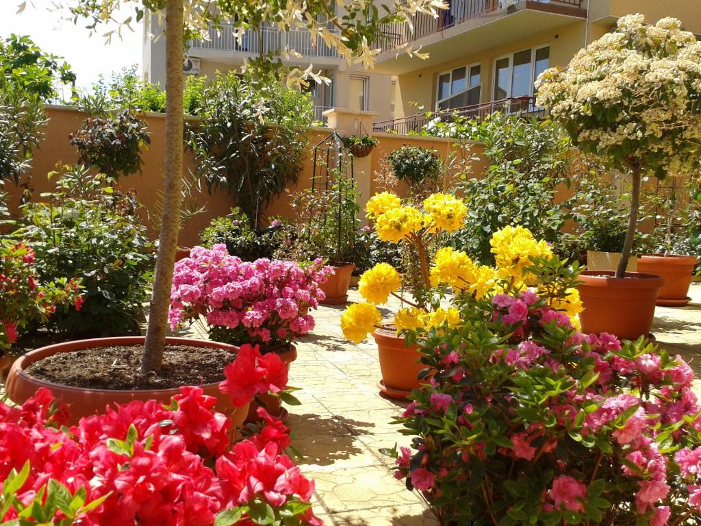 Zahrada ubytování Hotel Chuchulev