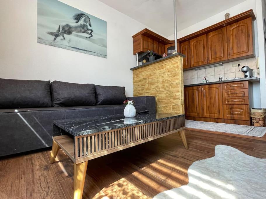 Byt v centre mesta Snina في سنينا: غرفة معيشة مع أريكة سوداء وطاولة
