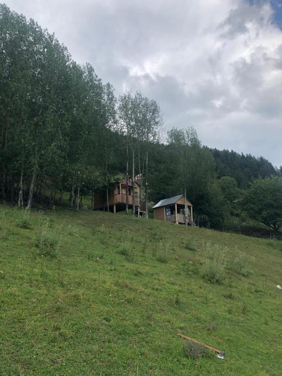 Příroda nedaleko prázdninového domu